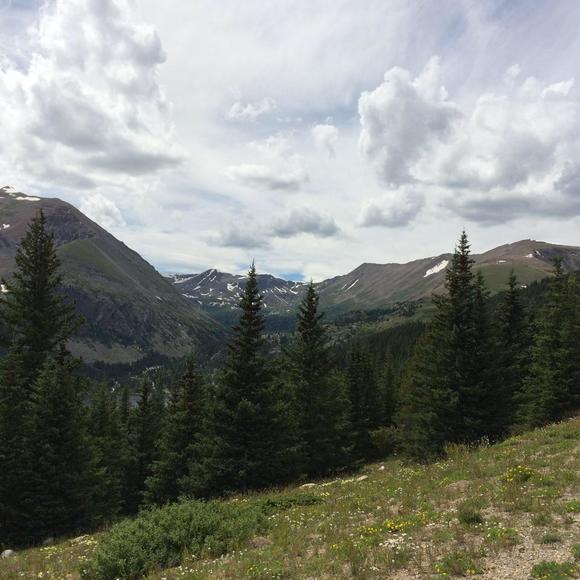 Meet your Posher, Nate - Picture 1 of 1